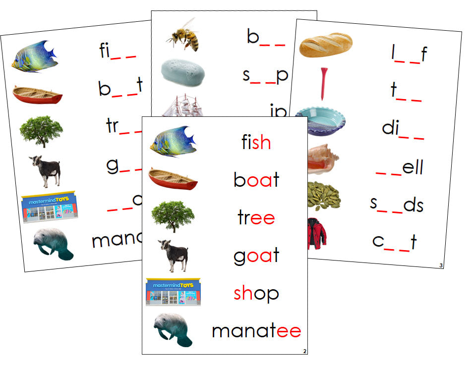 Montessori Step 3: Phonogram Sound Cards - Set 1 (photos) - Montessori Print Shop Digital Download language program