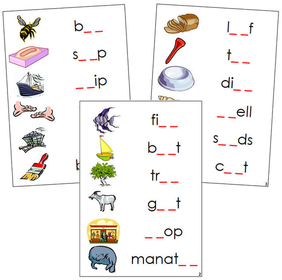 Step 3: Phonogram Sound Cards Set 1 - Montessori language cards - Montessori Print Shop