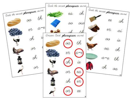 Montessori Step 3: Phonogram Sound Choice Cards - Set 1 (photos) - CURSIVE - Montessori Print Shop language lesson