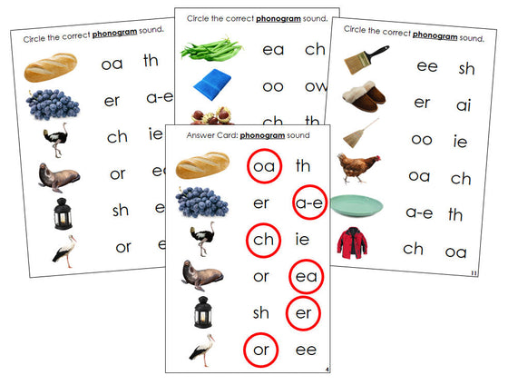 Montessori Step 3: Phonogram Sound Choice Cards - Set 1 (photos) - Montessori Print Shop language program