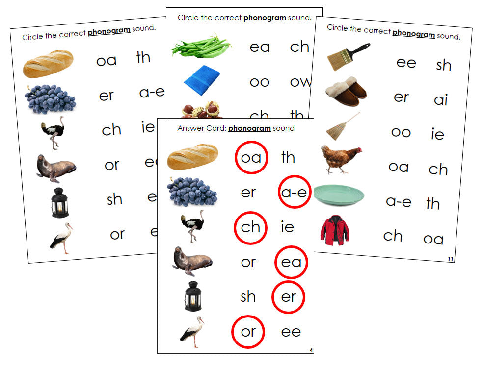 Montessori Step 3: Phonogram Sound Choice Cards - Set 1 (photos) - Montessori Print Shop language program