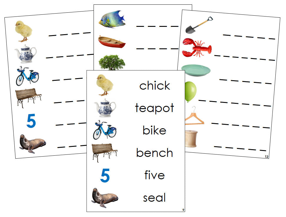 Montessori Step 3 Language Series Bundle (photos) - Phonogram Spelling Cards - Montessori Print Shop language program