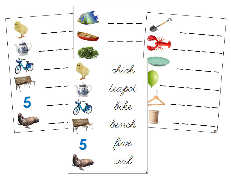 Montessori Step 3 Language Series Bundle (photos) - CURSIVE - Phonogram Spelling Cards - Montessori Print Shop Language Program