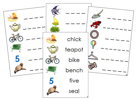 Montessori Step 3: Phonogram Spelling Cards Set 1 - language cards - Montessori Print Shop