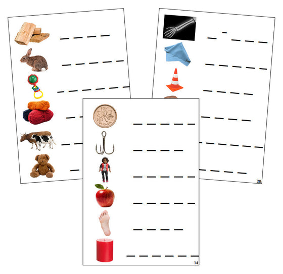 Step 3: Phonogram Spelling Cards - Set 2 (photos)