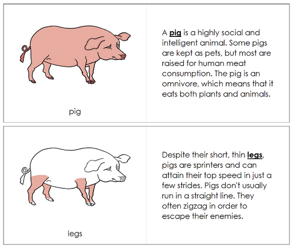 Parts of a Pig Nomenclature Book - Montessori Print Shop Digital Download