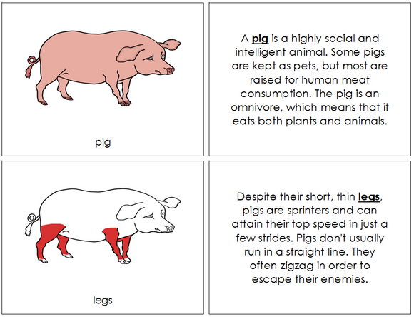 Pig Nomenclature Book (red) - Montessori Print Shop