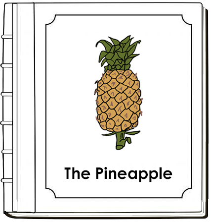 Parts of a Pineapple Nomenclature Book (Red) - Montessori Print Shop Digital Download