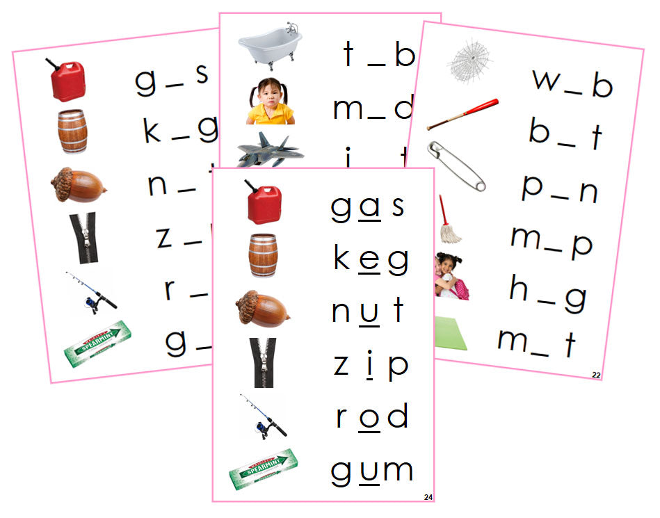 Montessori Pink Language Series Bundle (photos) - Phonetic Vowel Sound Cards - Montessori Print Shop Phonics Program