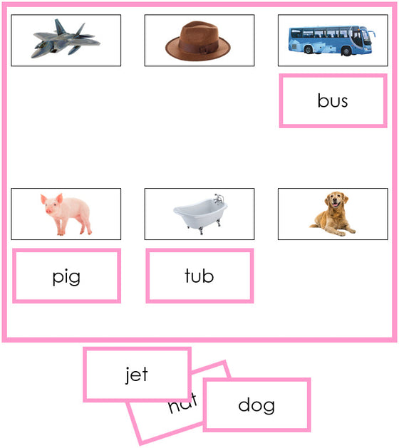 Pink Sheets & Labels - phonetic language lesson