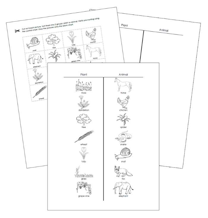 Plant or Animal Sorting Cut & Paste (Blackline Masters) - Montessori Print Shop Digital Download