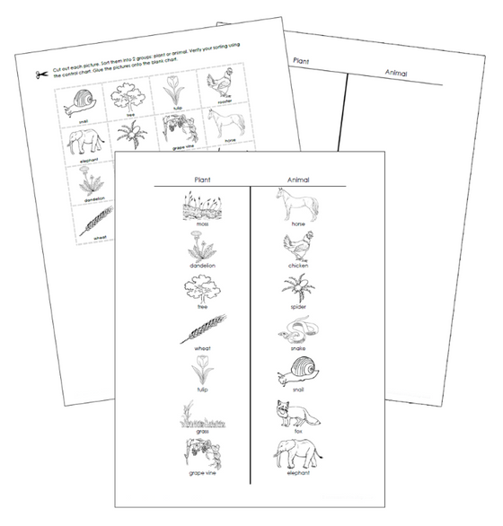 Plant or Animal Sorting Cut & Paste (Blackline Masters) - Montessori Print Shop Digital Download
