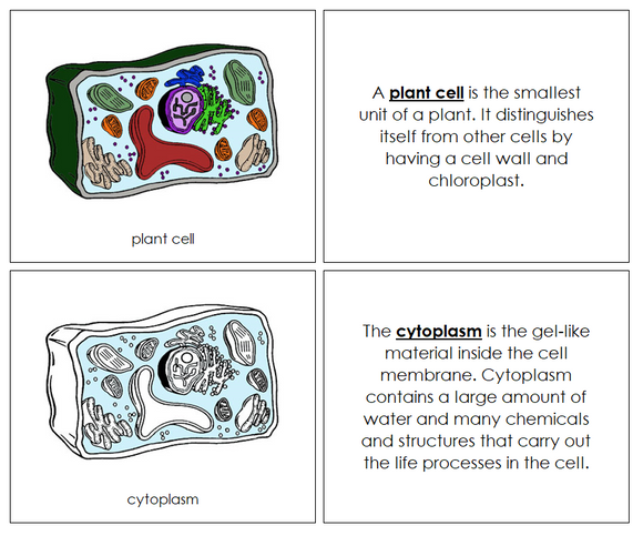 Parts of a Plant Cell Nomenclature Book - Montessori Print Shop