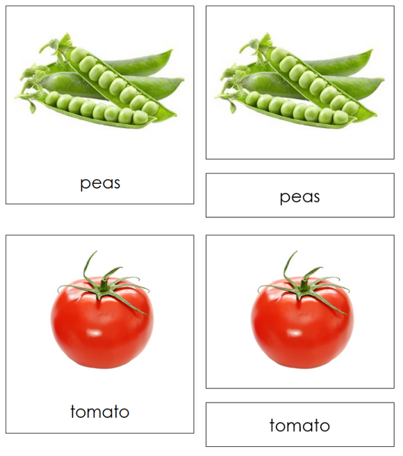 Plants We Eat Sorting Cards & Chart - Montessori Print Shop Digital Download science