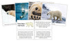 Polar Bear Fast Facts & Pictures - Montessori Print Shop