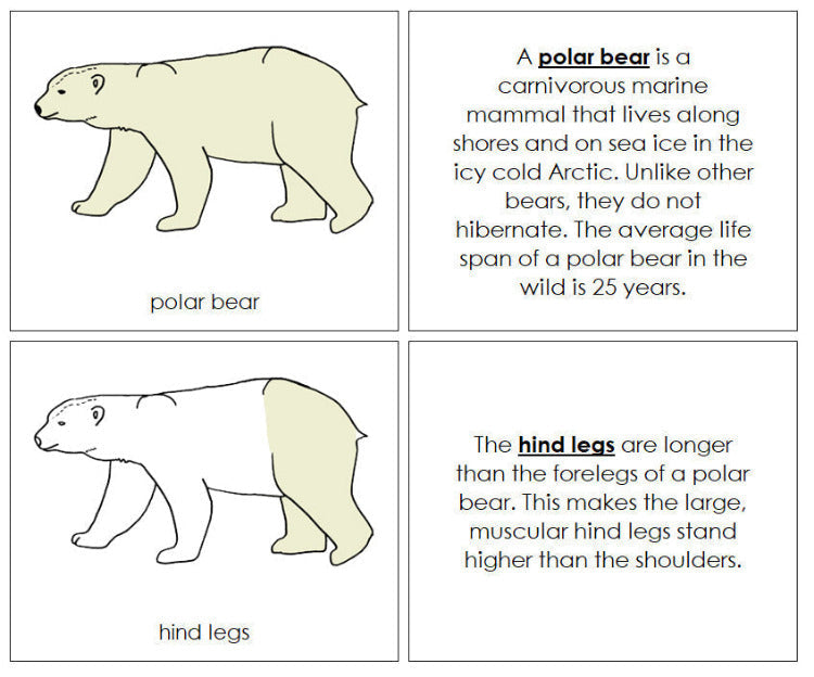 Polar Bear Nomenclature Book - Montessori Print Shop Digital Download