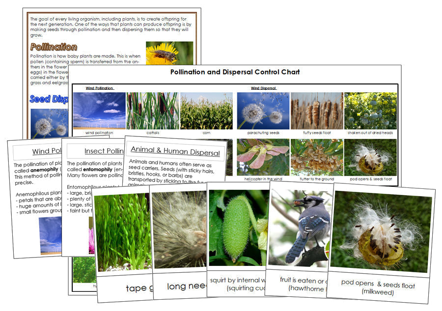 Pollination and Seed Dispersal - Montessori Print Shop Science printables