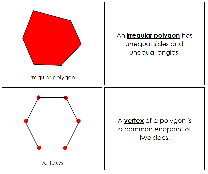 The Study of a Polygon Nomenclature Book - Montessori Print Shop Digital Download
