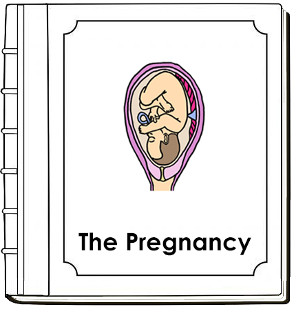 Pregnancy Nomenclature Book (red) - Montessori Print Shop Digital Download