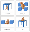 Preposition Picture Cards (Cat) - Montessori Print Shop grammar lesson