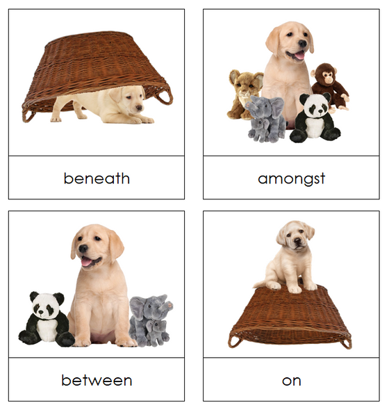 Preposition Picture Cards - Montessori Print Shop grammar lesson