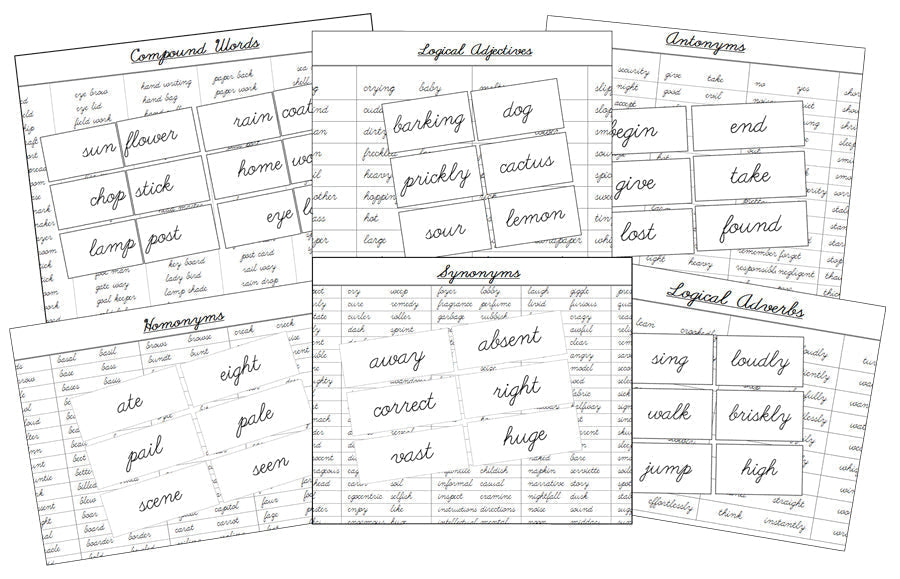 Primary Montessori Grammar Bundle - Montessori Print Shop Digital Download Grammar Lessons