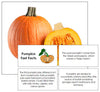 Pumpkin Fast Facts & Pictures - Montessori Print Shop