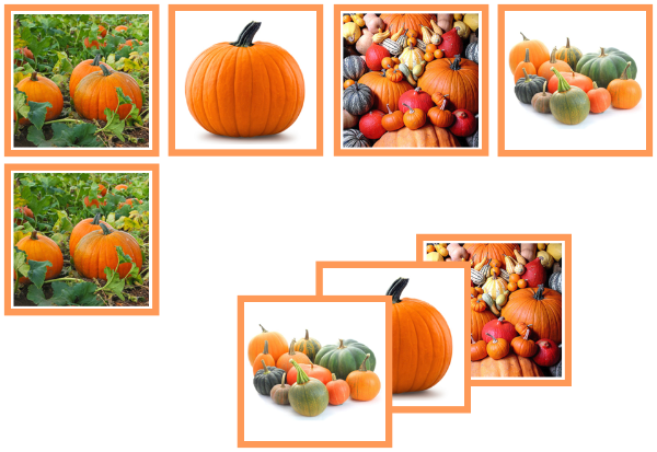 pumpkin matching cards - Montessori Print Shop Digital Download