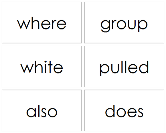 Puzzle Word Cards - Montessori language cards