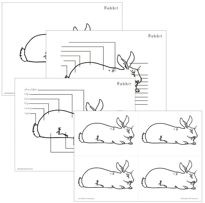 Elementary Rabbit Nomenclature - Montessori Print Shop Digital Download
