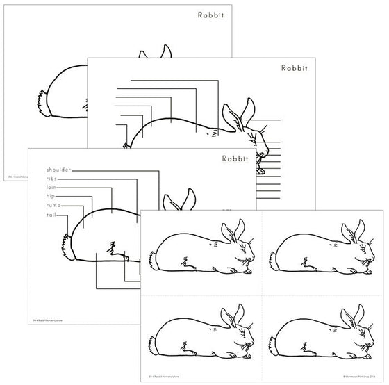 Elementary Rabbit Nomenclature - Montessori Print Shop