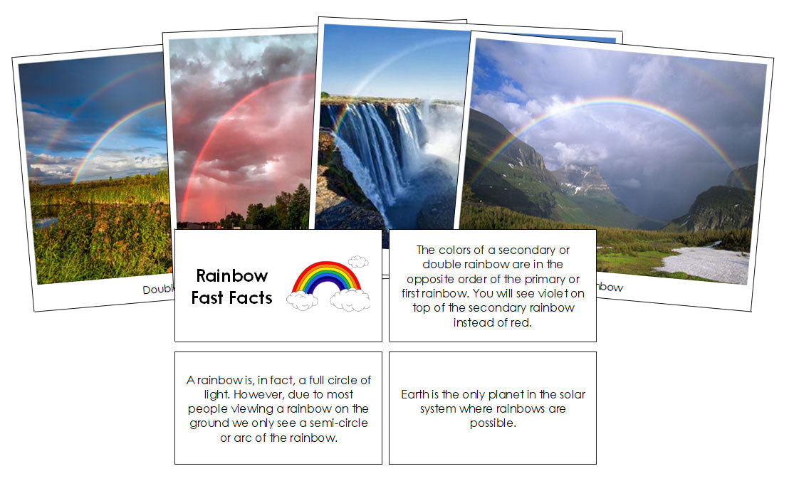 Printable Rainbow Fast Facts and Pictures  - Montessori Print Shop Digital Download