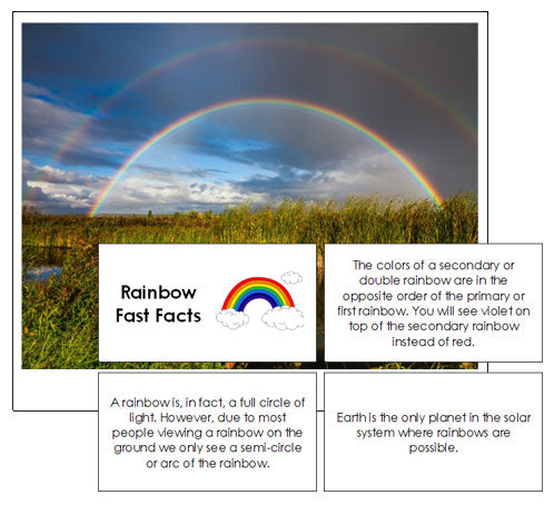 Rainbow Fast Facts