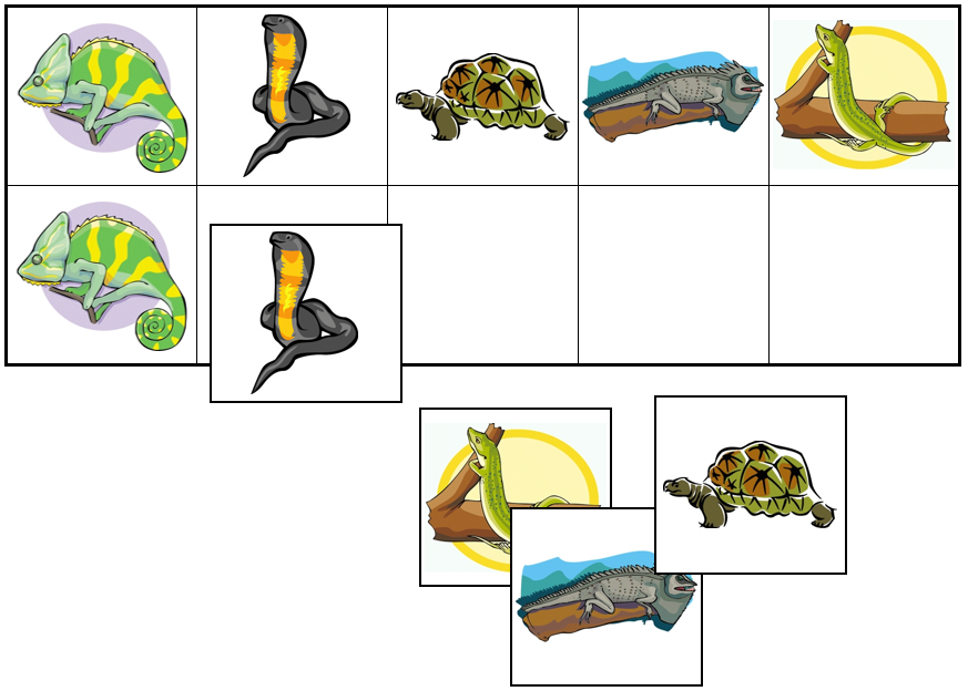 Reptile Match-Up & Memory Game - Montessori Print Shop