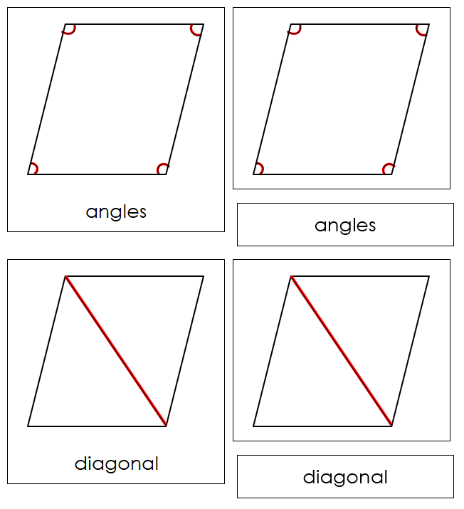 Study of a Rhombus 3-Part Cards - Montessori Print Shop Digital Download
