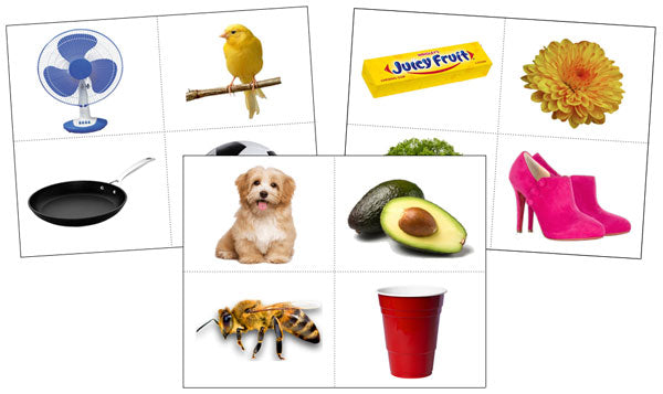 Rhyming Objects - Montessori Print Shop Digital Download