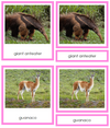 Animals of South America 3-Part Cards - Montessori Print Shop continent study