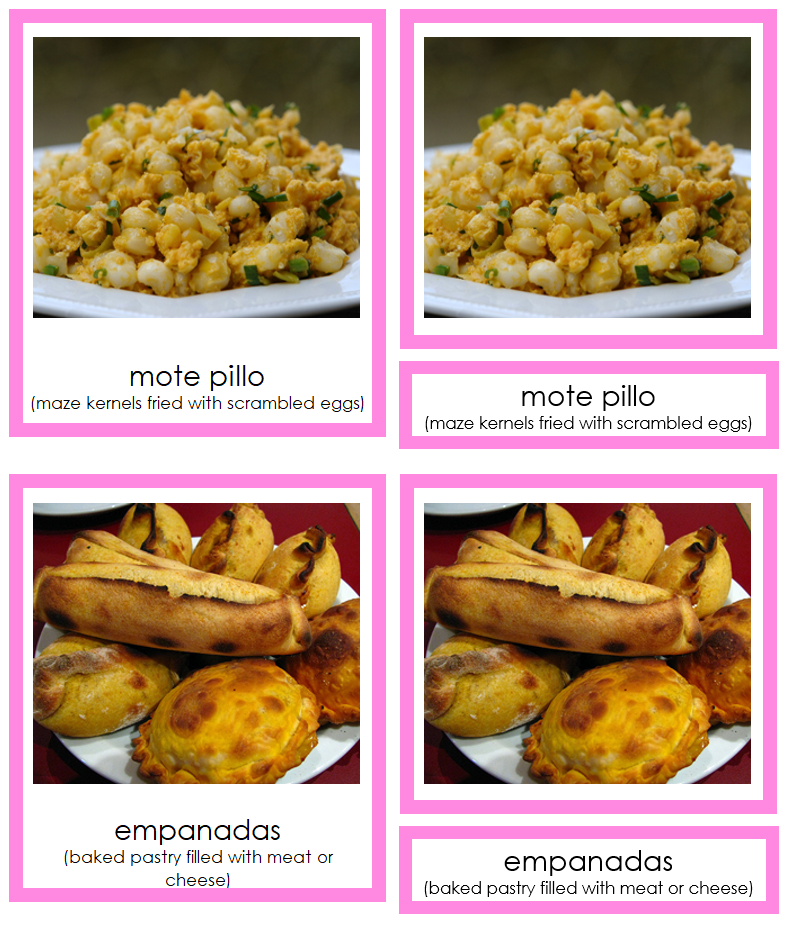 Foods of South America 3-Part Cards (color-coded) - Montessori Print Shop Digital Download