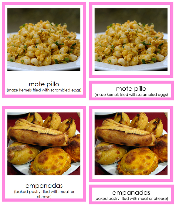 Foods of South America 3-Part Cards (color-coded) - Montessori Print Shop Digital Download