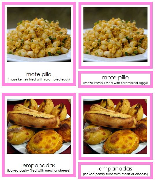 Foods of South America 3-Part Continent Cards - Montessori Print Shop Digital Download