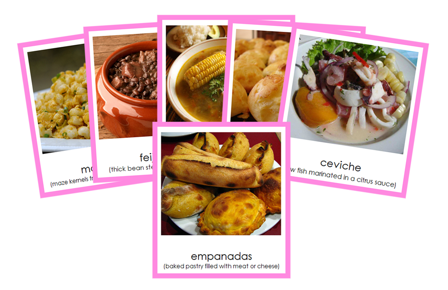 Foods of South America 3-Part Cards (color-coded) - Montessori Print Shop Digital Download