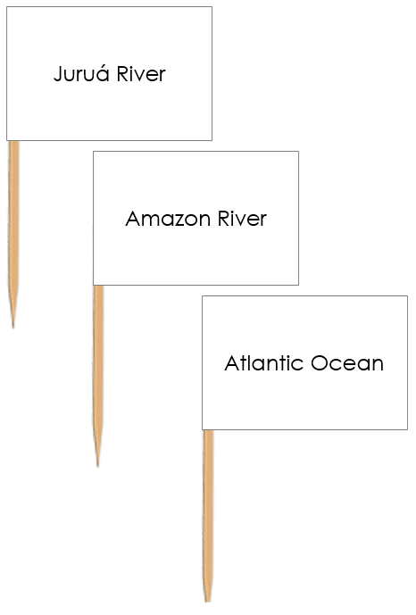 Waterways of South America: Pin Flags - Montessori Print Shop Digital Download geography materials