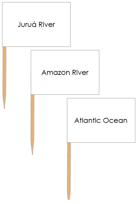 Waterways of South America: Pin Flags - Montessori Print Shop geography materials