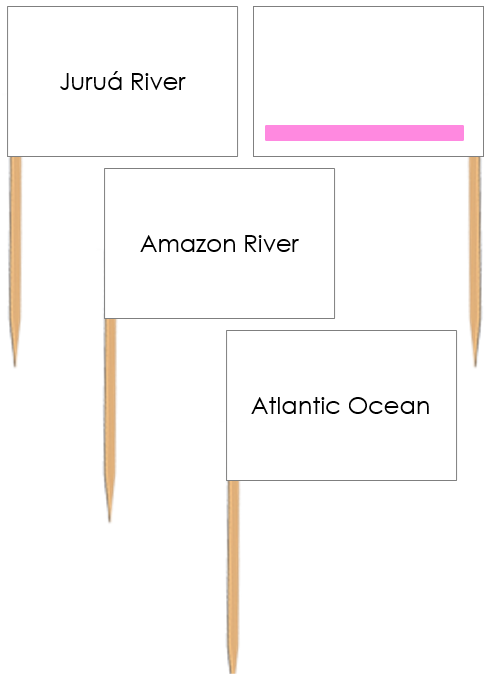 Waterways of South America: Pin Flags (color-coded) - Montessori Print Shop Digital Download