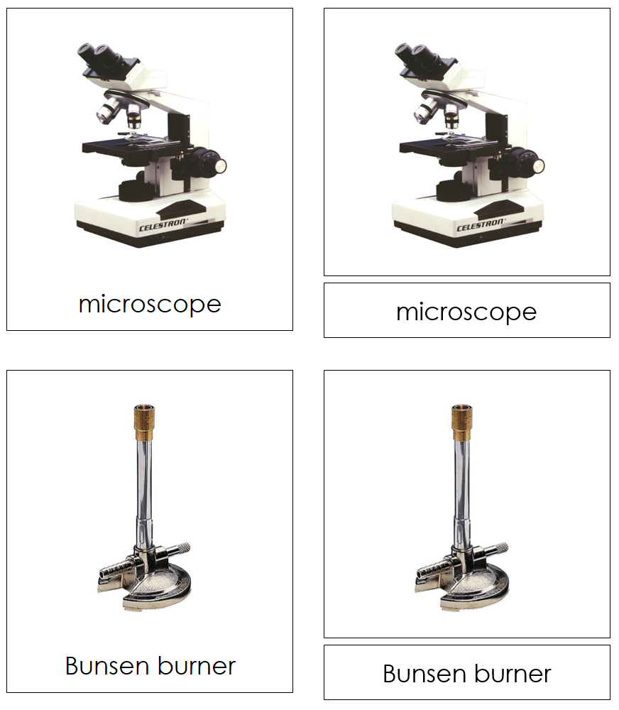 Types of Science Equipment 3-Part Cards - Montessori Print Shop Digital Download