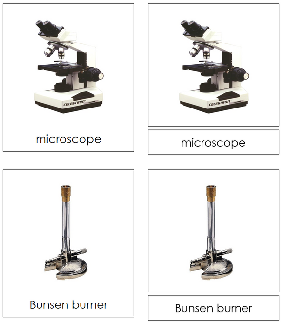 Types of Science Equipment 3-Part Cards - Montessori Print Shop Digital Download
