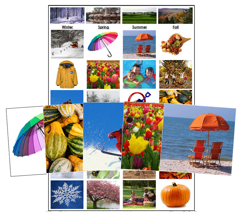 Seasonal Sorting Cards - Montessori Print Shop Digital Download