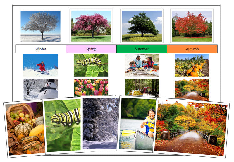 Seasonal Time Line Sorting Cards & Chart - Montessori Print Shop Digital Download