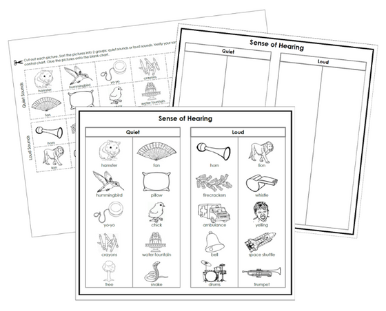 Sense of Hearing Sorting Cut & Paste - Montessori Print Shop Digital Download