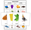 Sense of Smell Sorting Cards - Montessori Print Shop